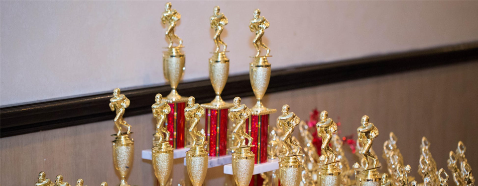 Team Trophies